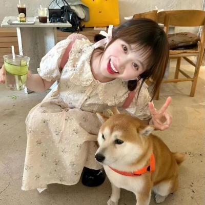 花与爱丽丝杀人事件