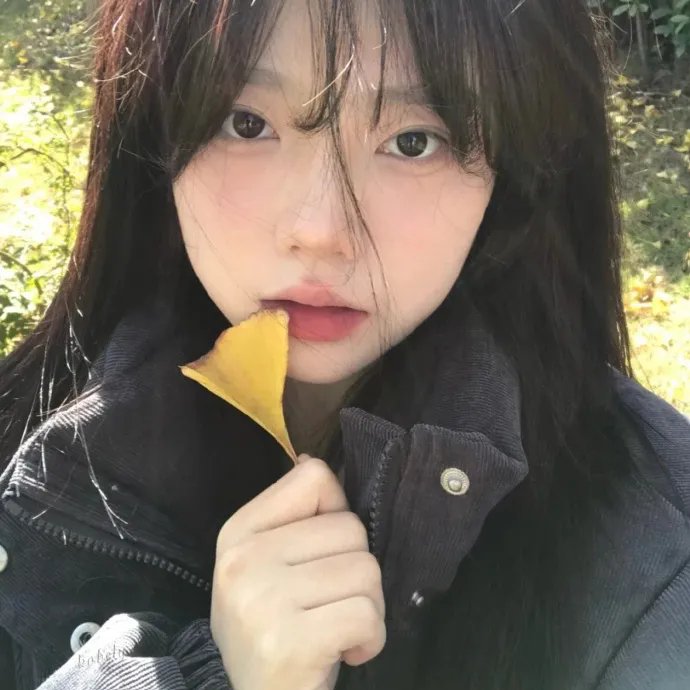 昆仑劫之鲛人泪