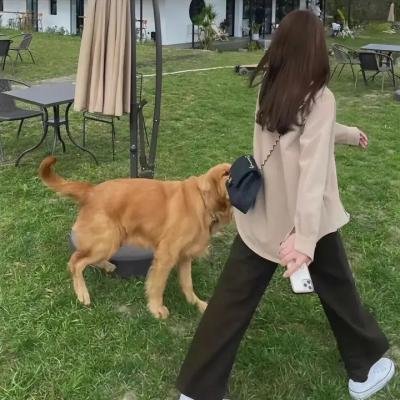 玉女求凰