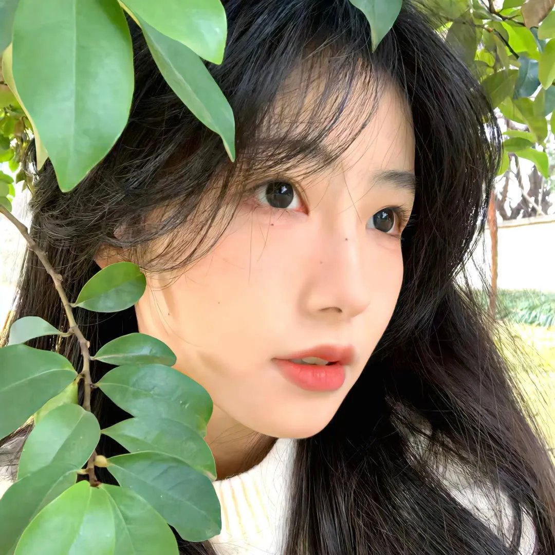 一号档案守护者